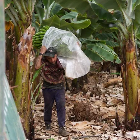 Finca El Apio * 拉拉古纳