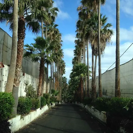Finca El Apio *